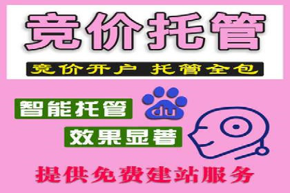 百度竞价SEM案例研究：提升转化率的关键策略